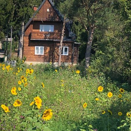 Vacationhome In The Vineyards Vienna Exterior photo