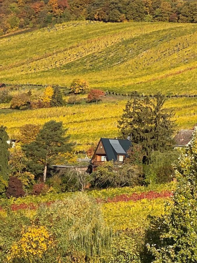 Vacationhome In The Vineyards Vienna Exterior photo