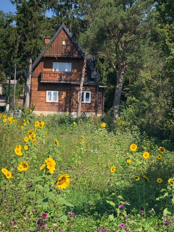 Vacationhome In The Vineyards Vienna Exterior photo