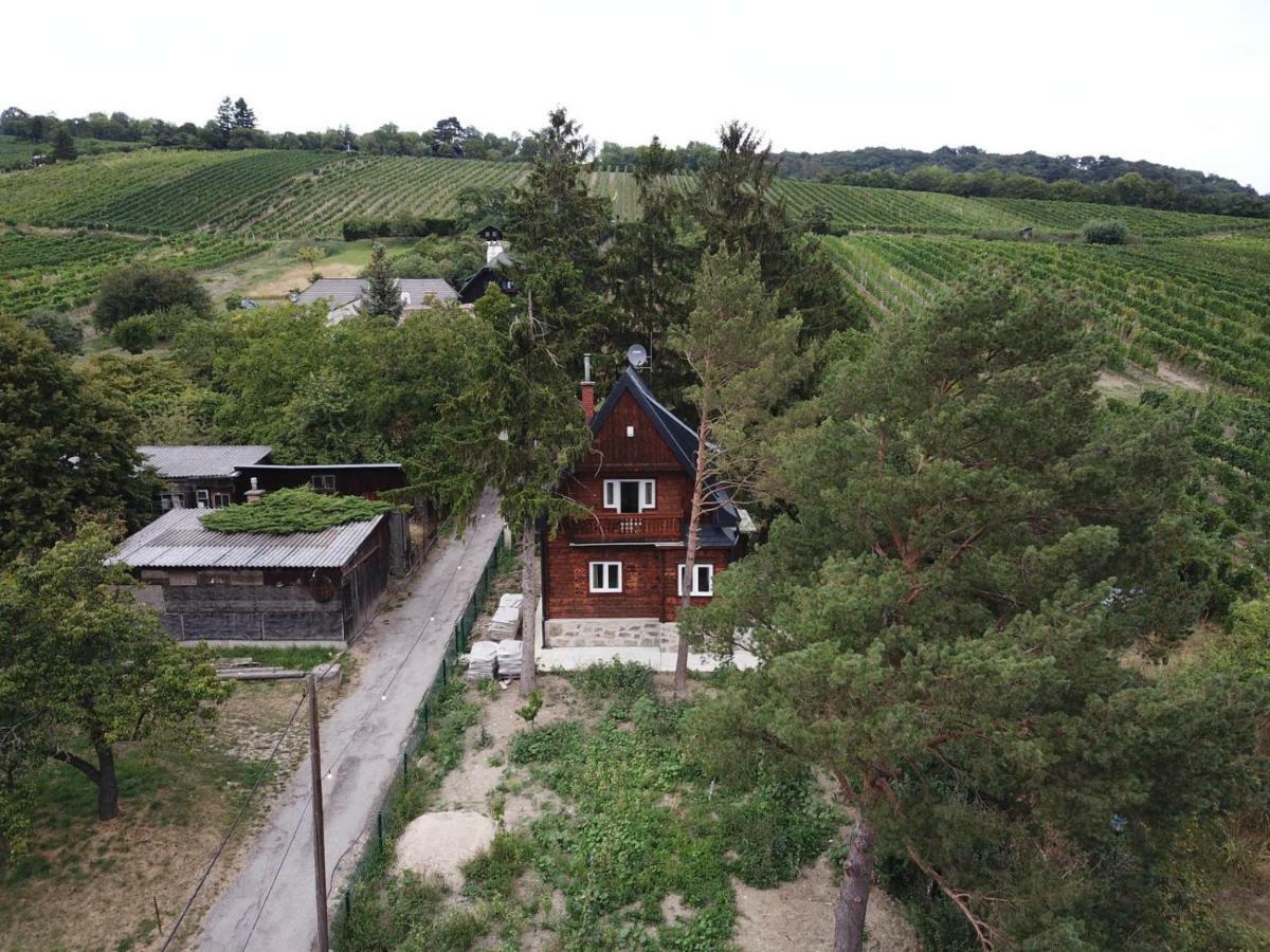 Vacationhome In The Vineyards Vienna Exterior photo